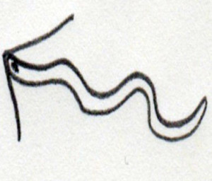 SCIVOLOSO